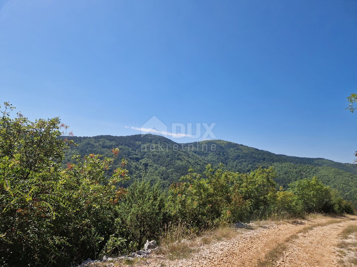 BUZET