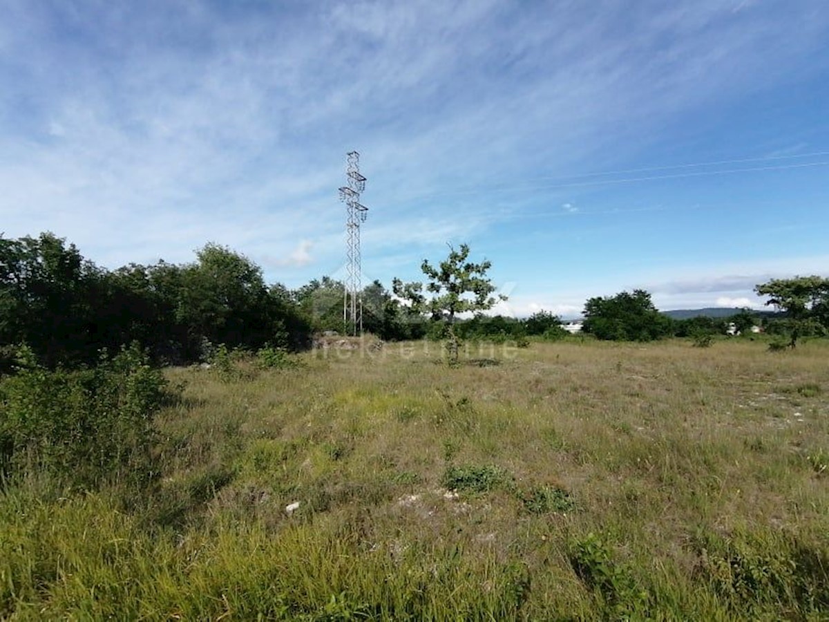 NEDEŠĆINA