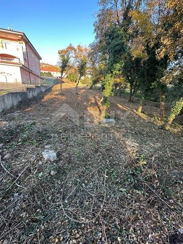 ŠODIĆI
