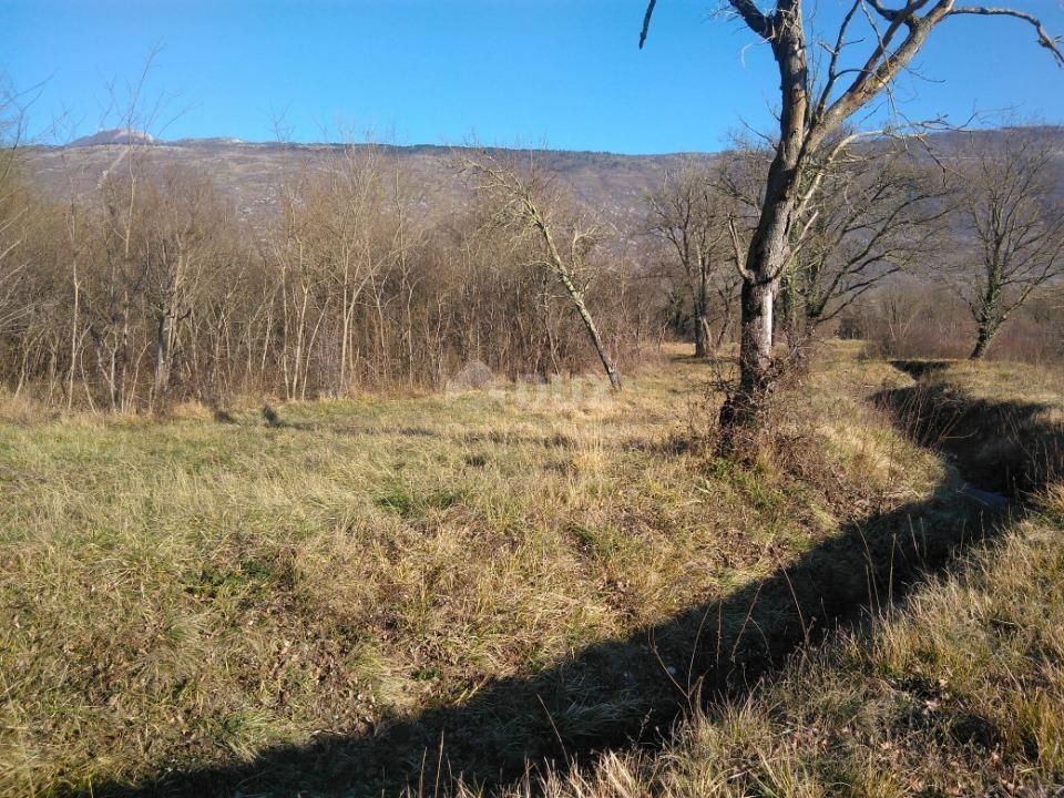 ŠUŠNJEVICA