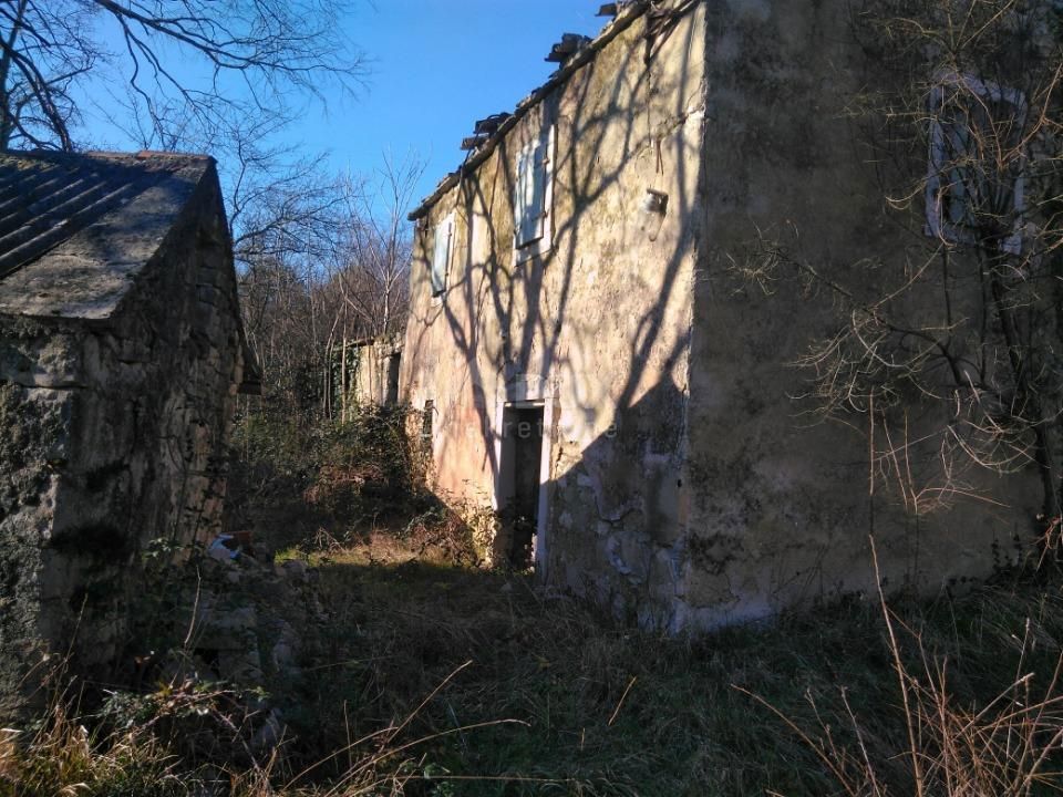 ŠUŠNJEVICA