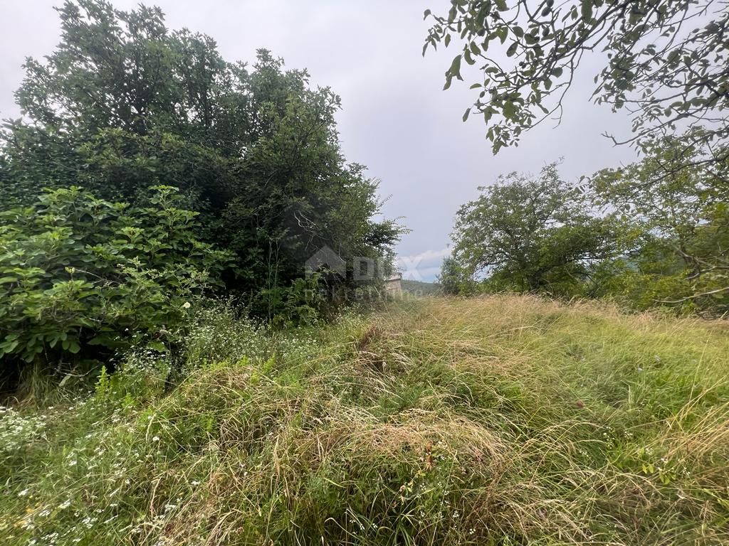 SOVINJAK