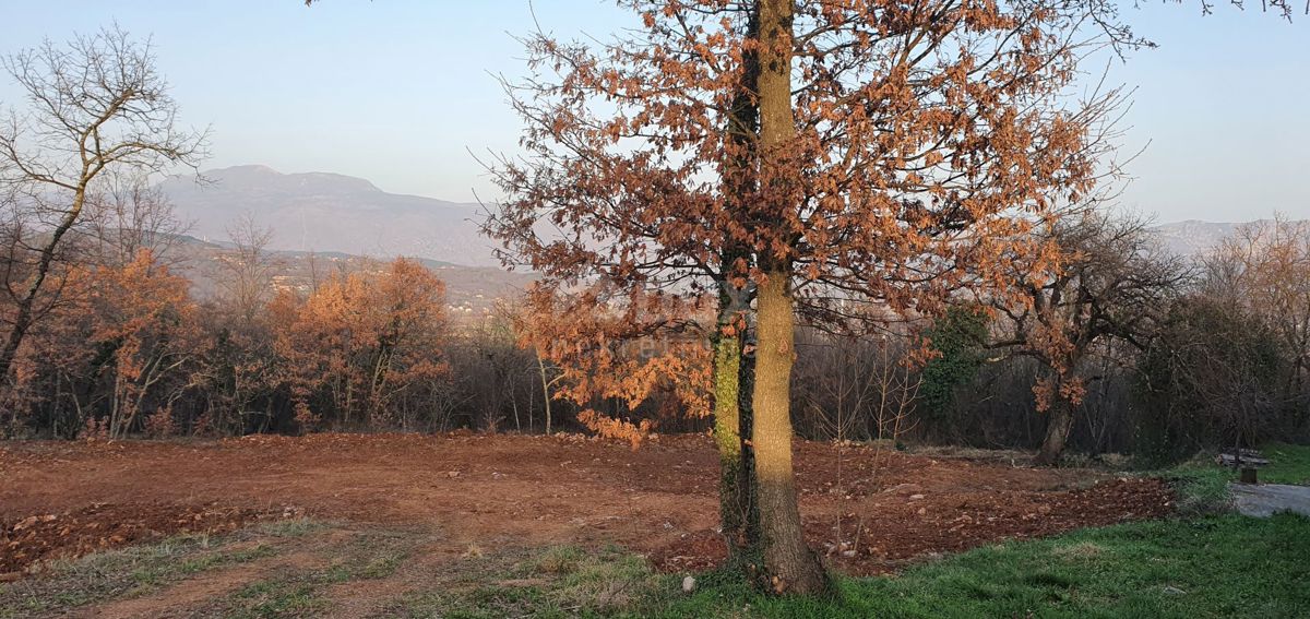 PIĆAN