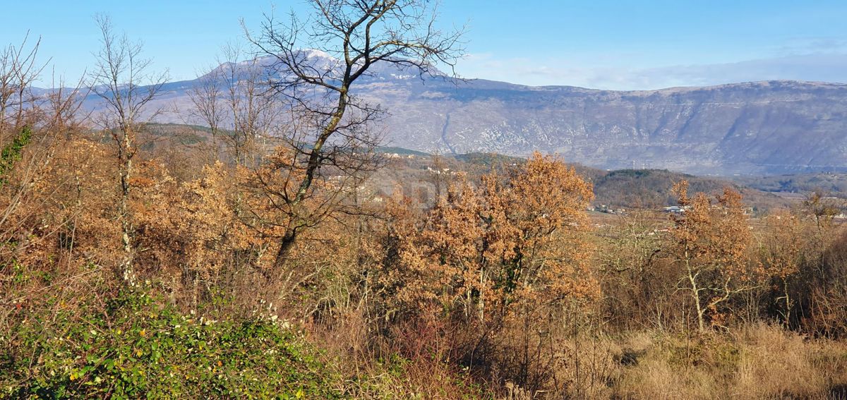 PIĆAN