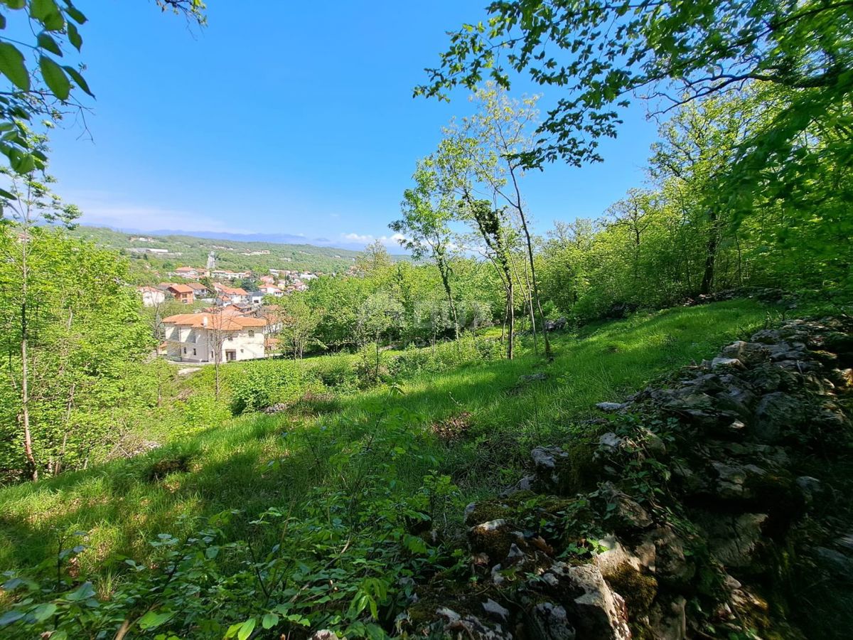 MATULJI