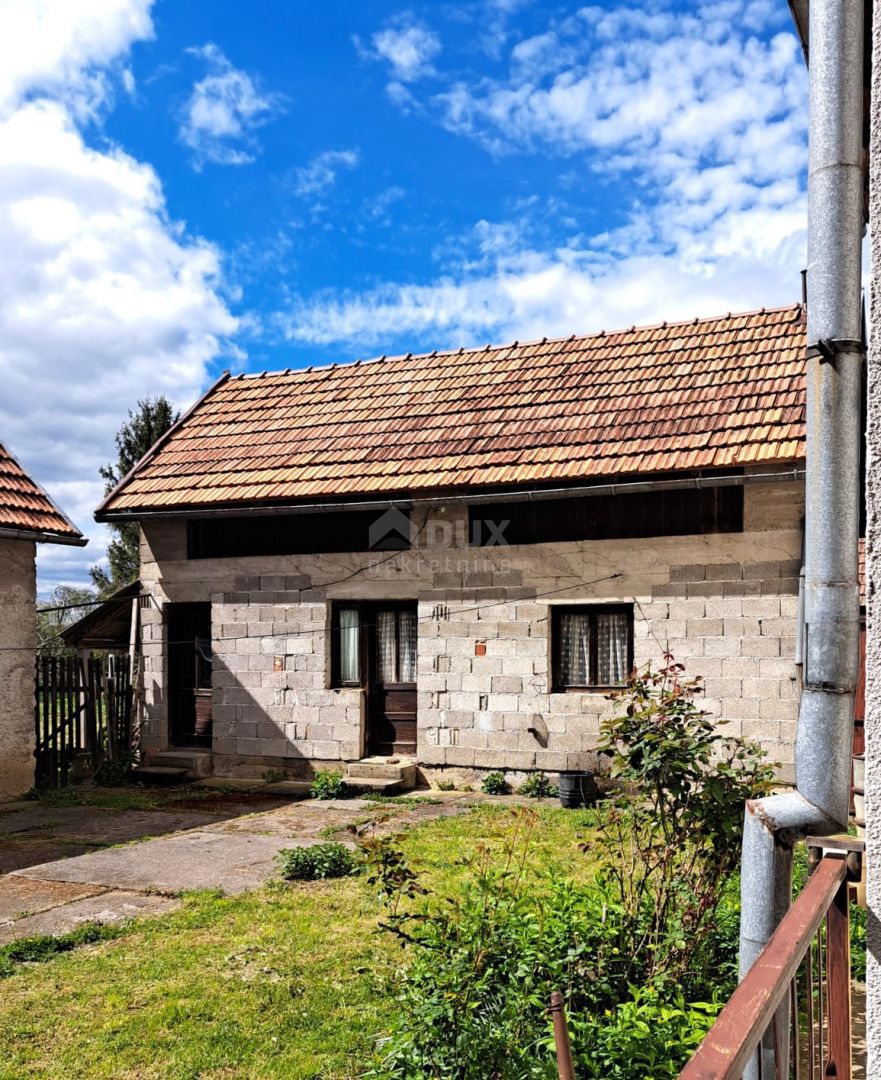 JANJA GORA