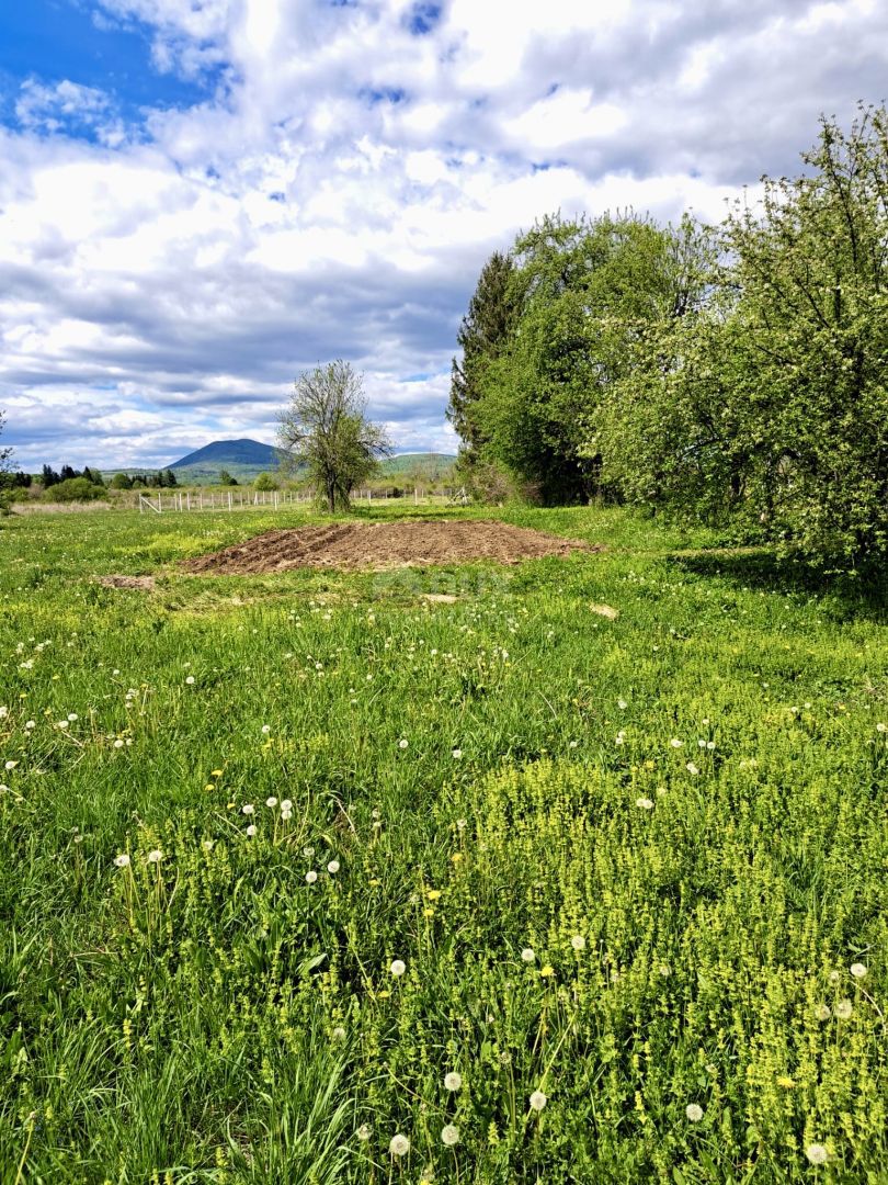 JANJA GORA