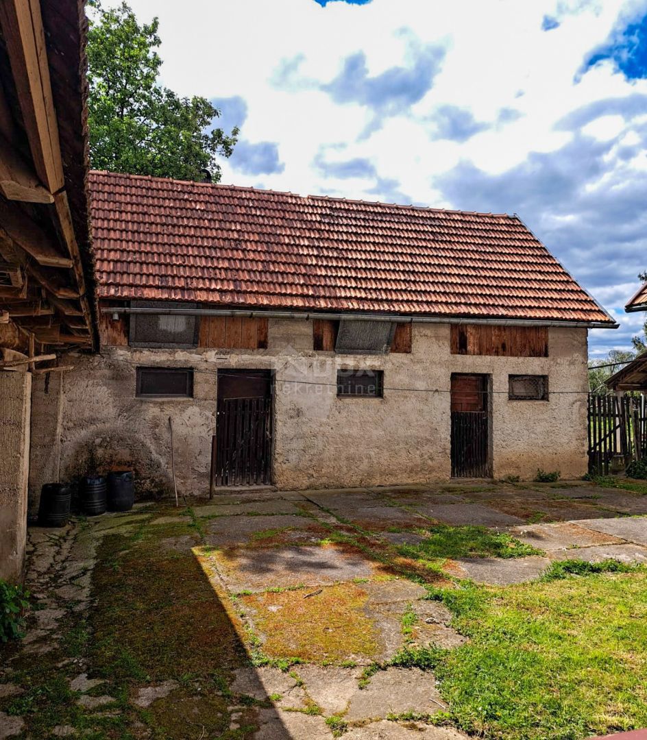 JANJA GORA