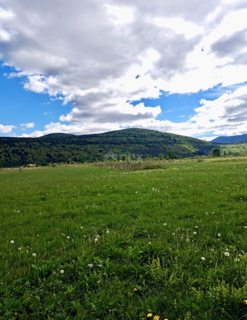 JANJA GORA