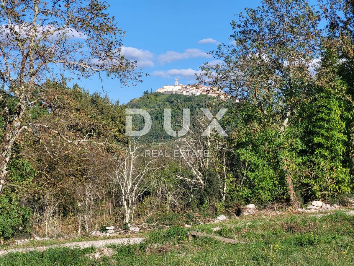 MOTOVUN