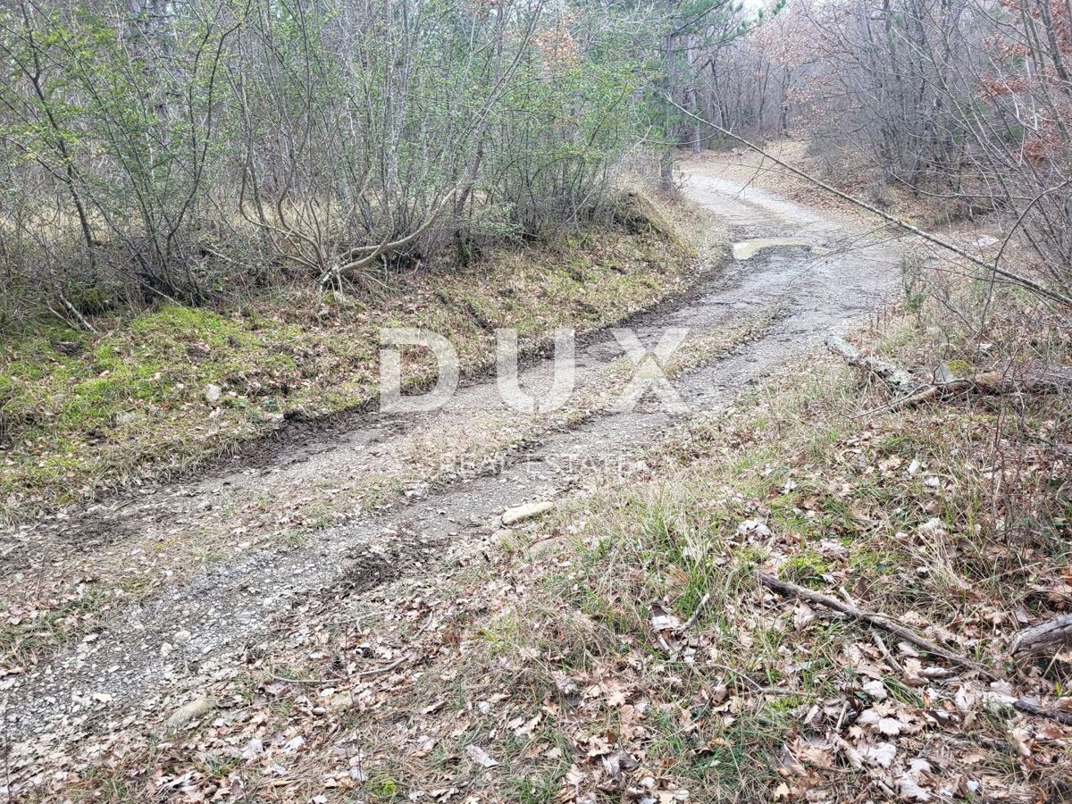 SVETI DONAT