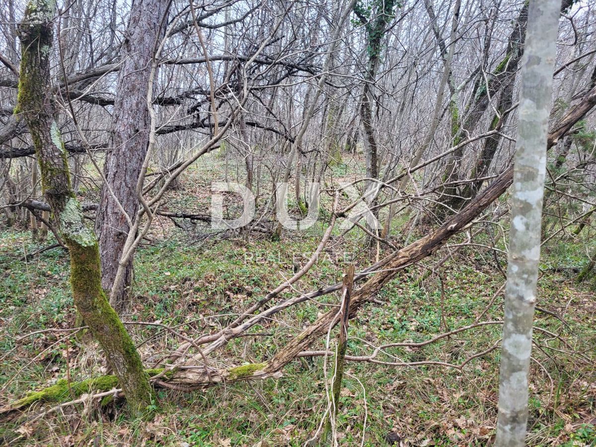 SVETI DONAT