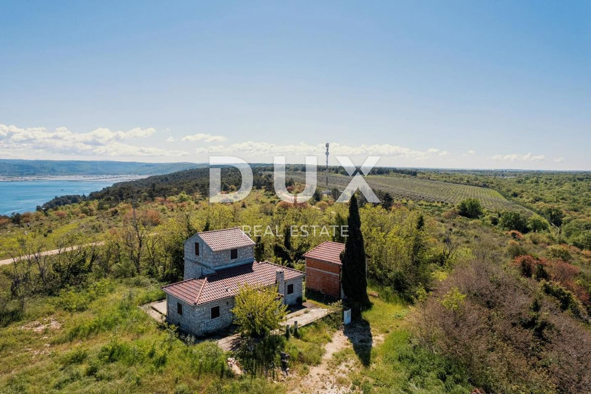 CRVENI VRH