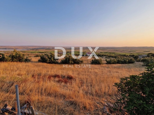 DINJIŠKA