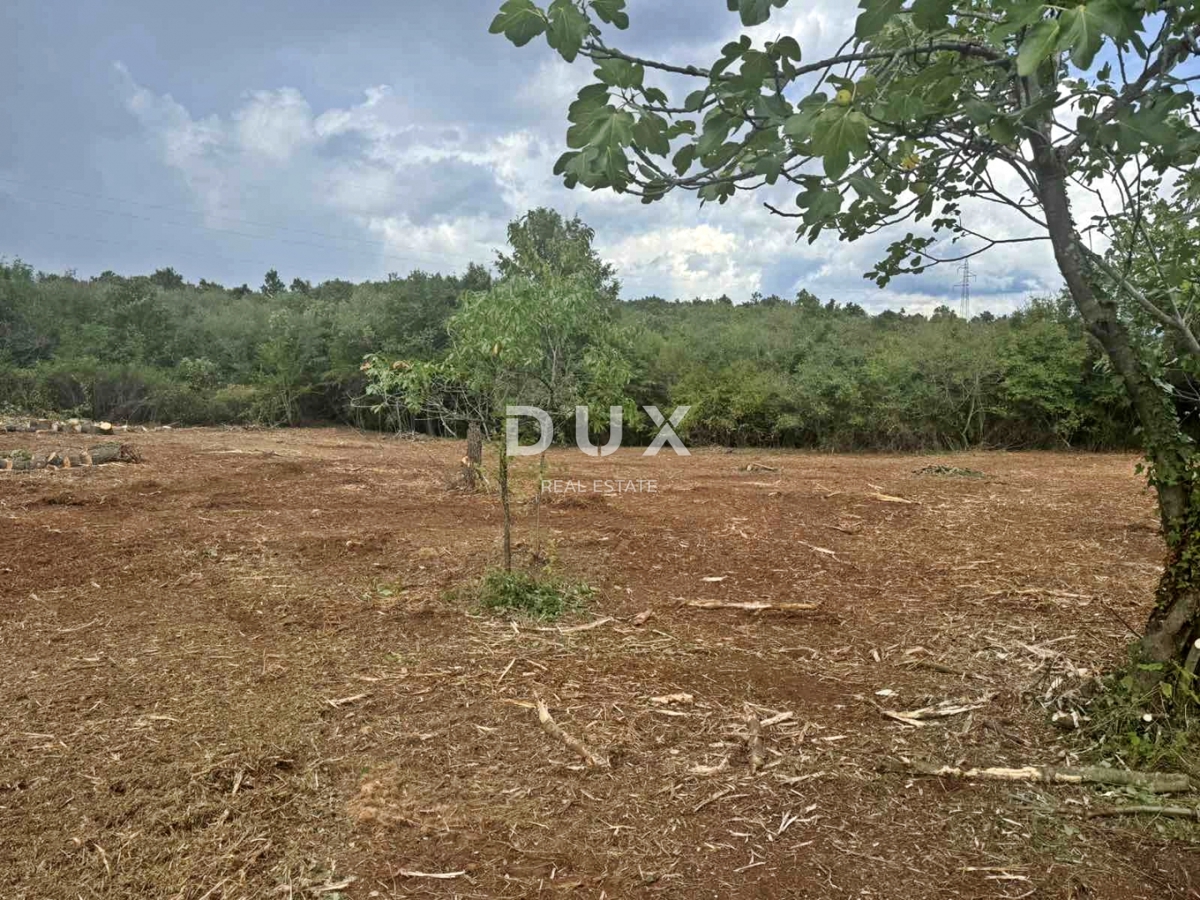 Terreno BARBAN, 156.000 €