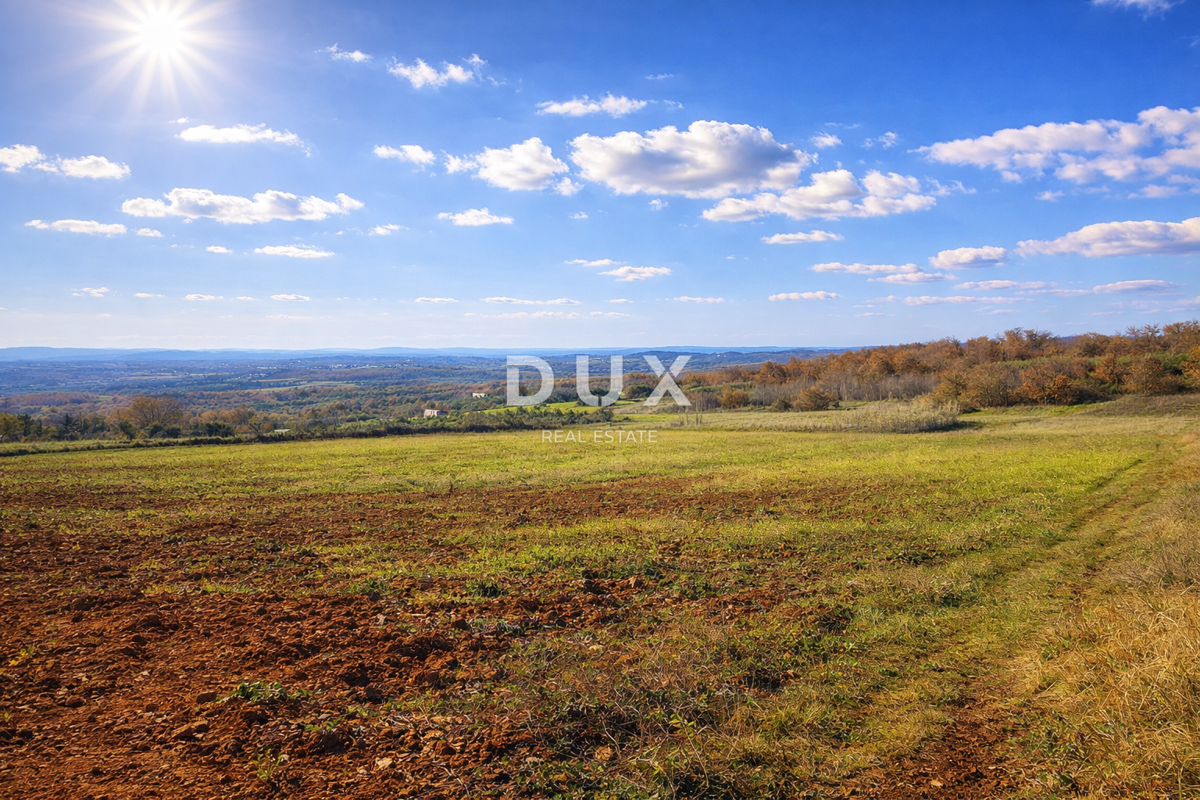 Участок VIŽINADA