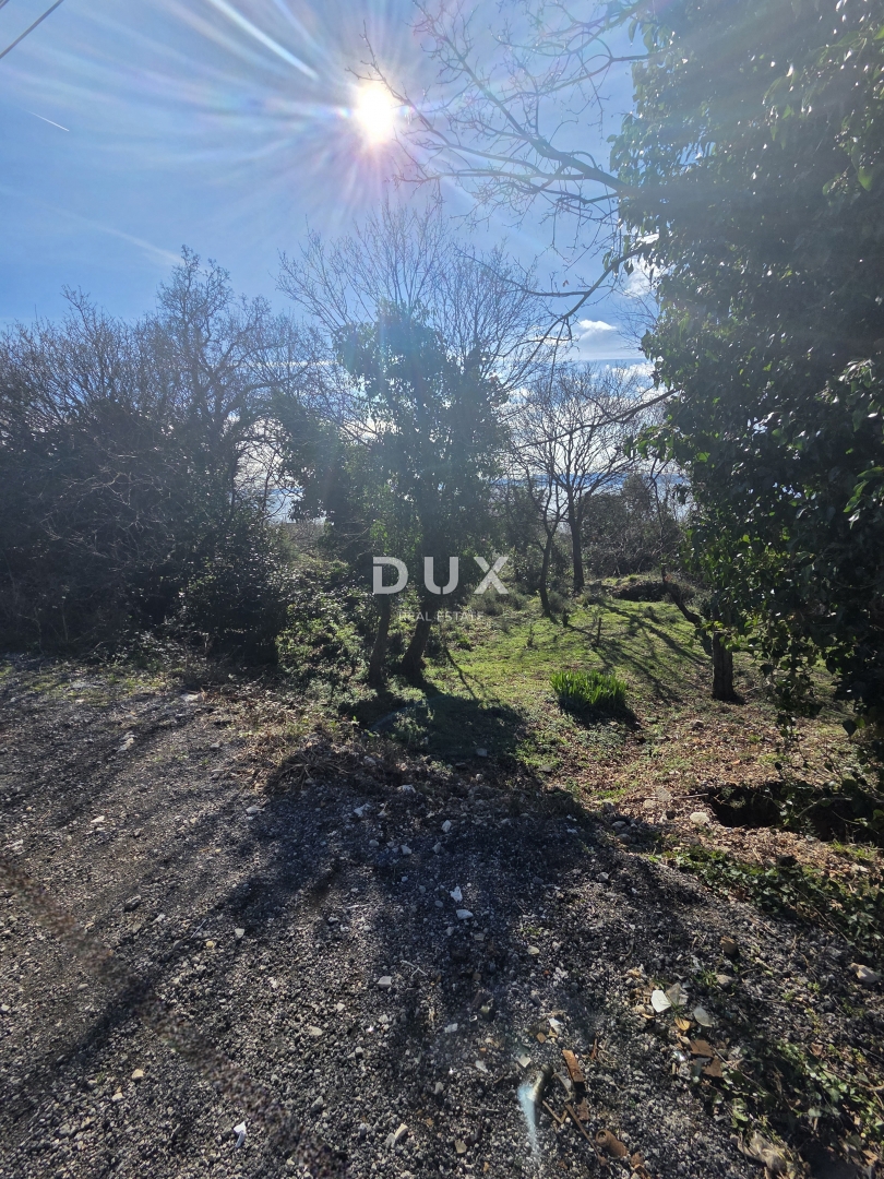 image 30