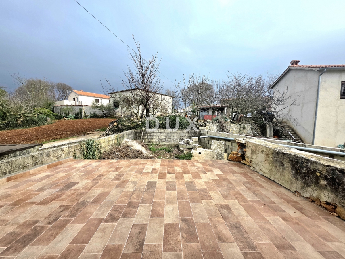 image 36
