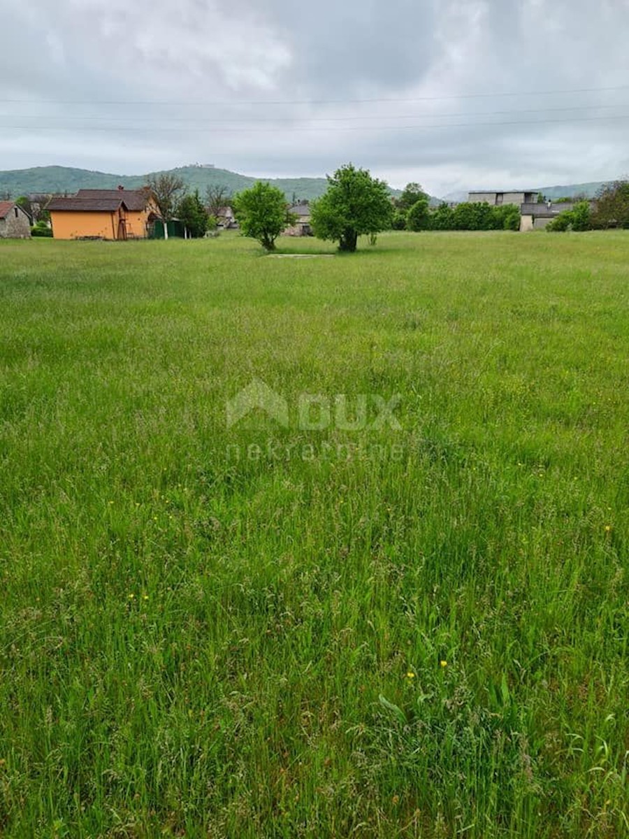 DRAŽICE