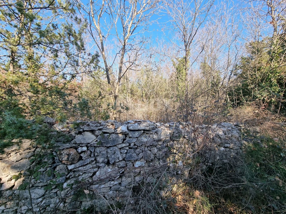 VODNJAN