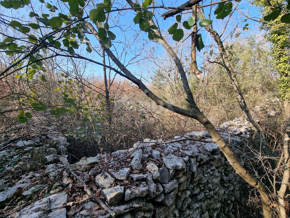 VODNJAN