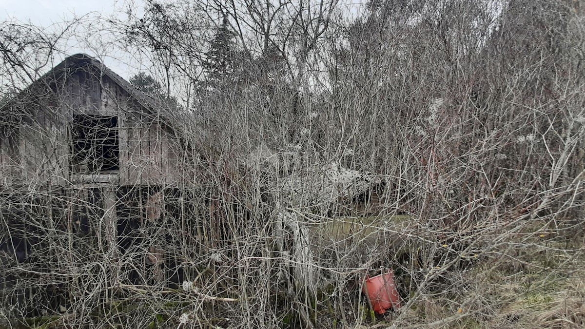 PASJAK