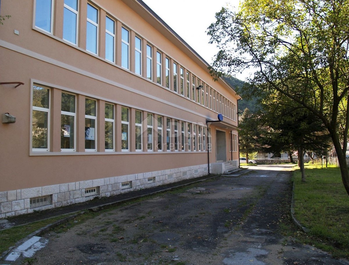 RAŠA
