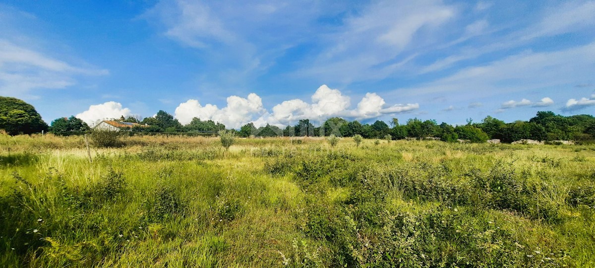 KANFANAR