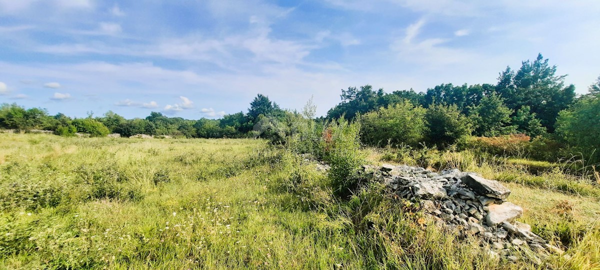 KANFANAR