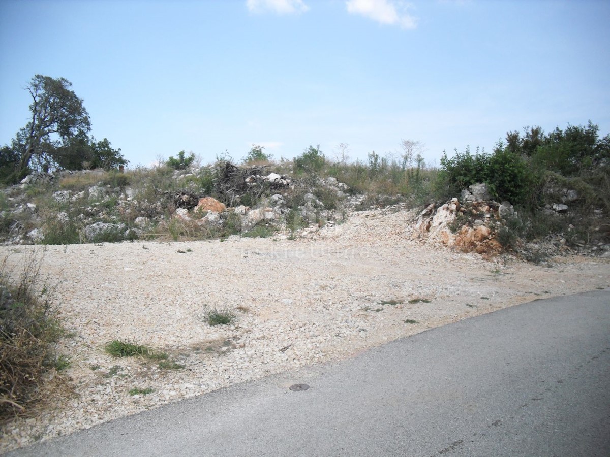 LINARDIĆI