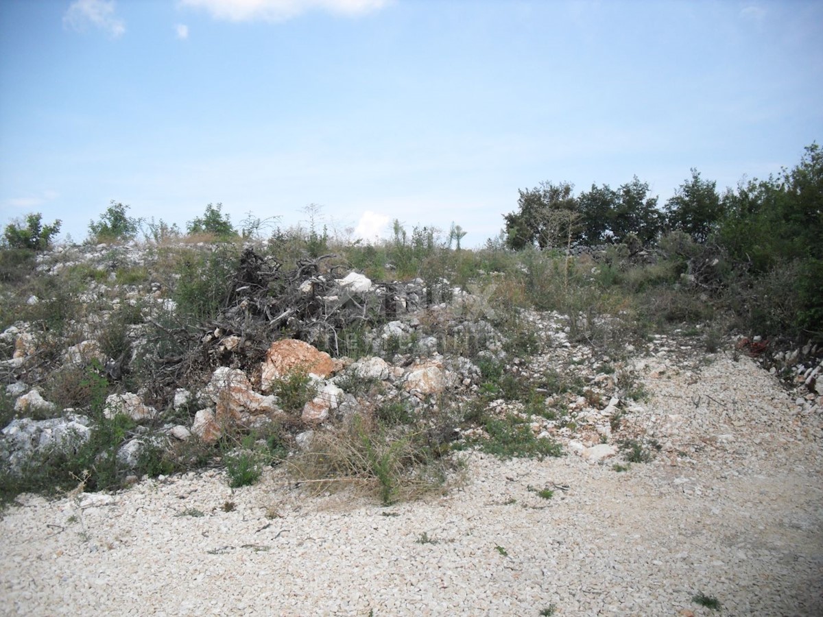 LINARDIĆI