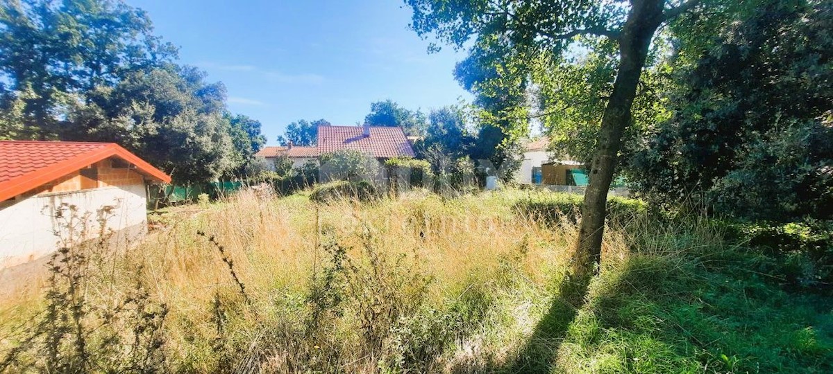 MARČANA