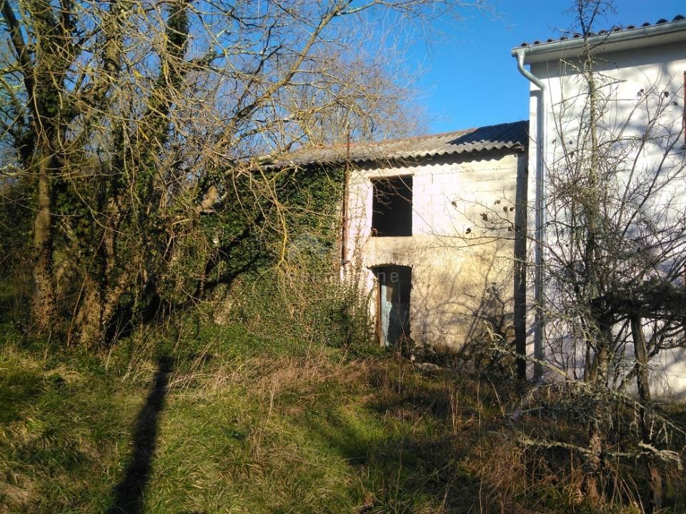 ŠUŠNJEVICA