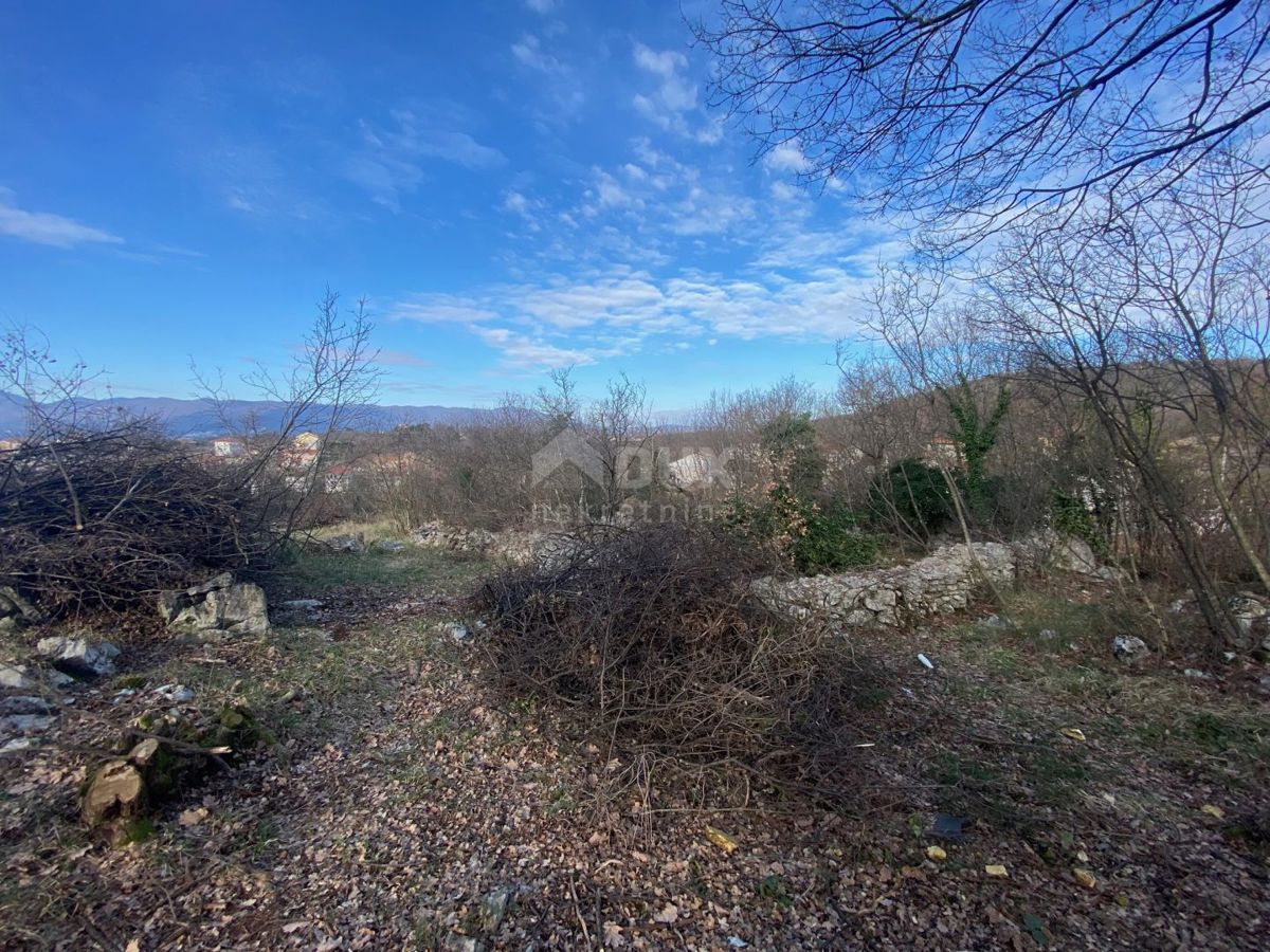 MARINIĆI