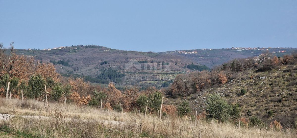 BUJE