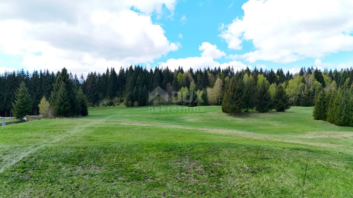 HLEVCI