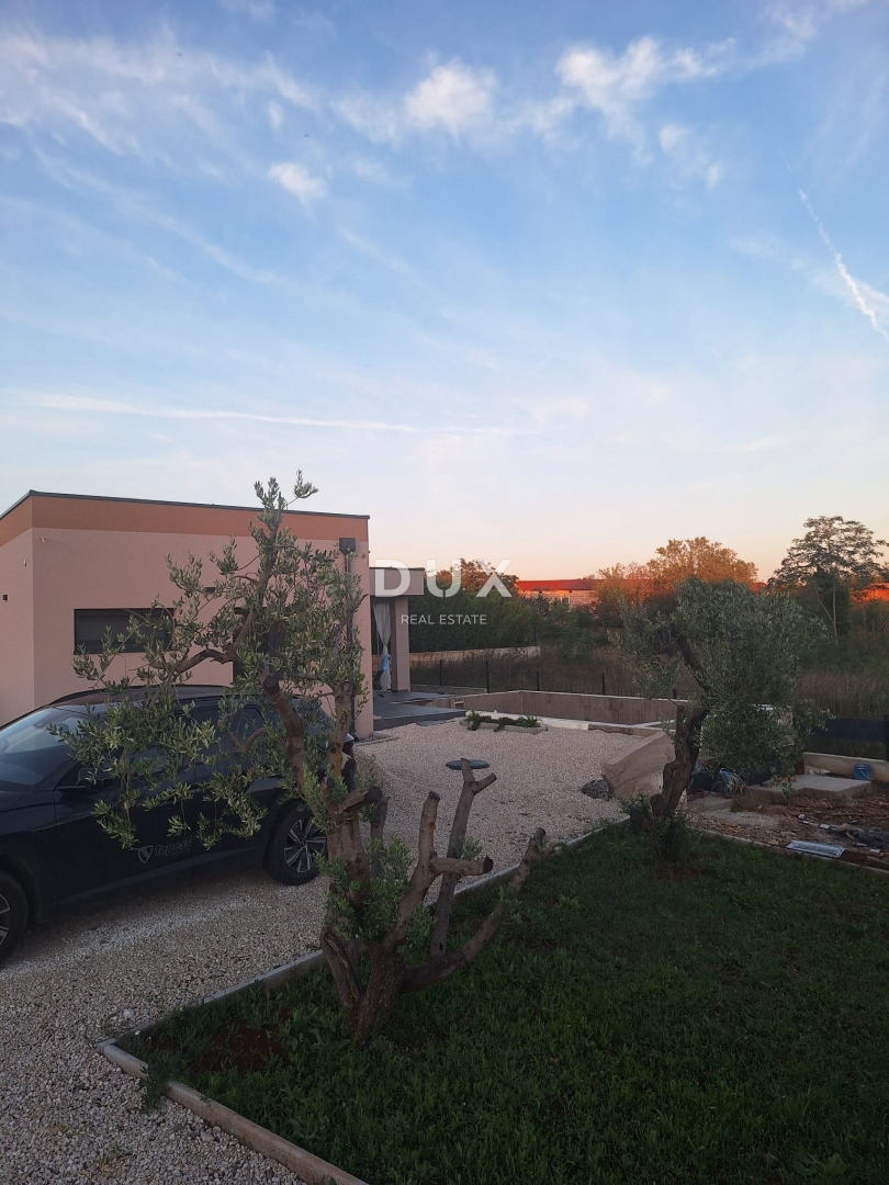 image 22