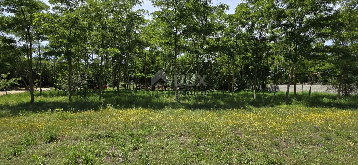 KANFANAR