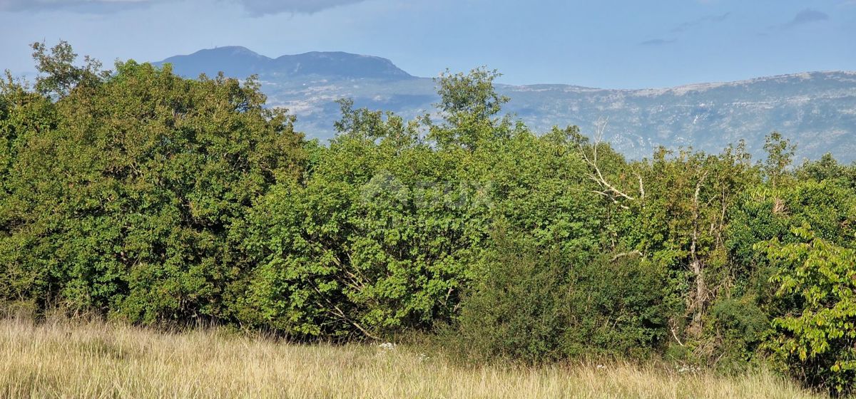 PIĆAN
