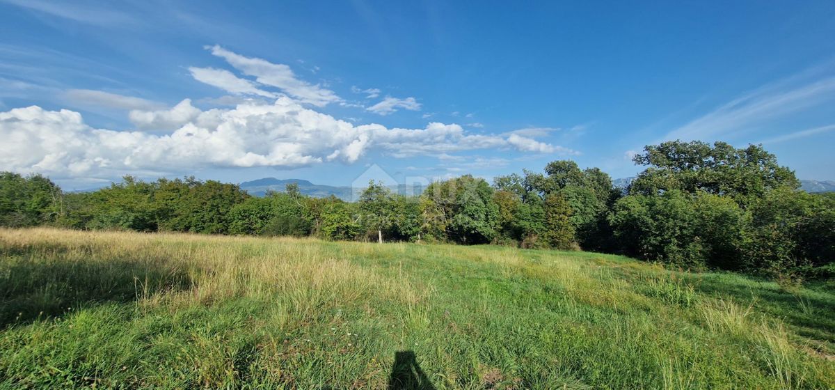PIĆAN