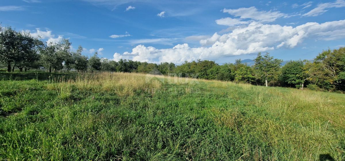 PIĆAN