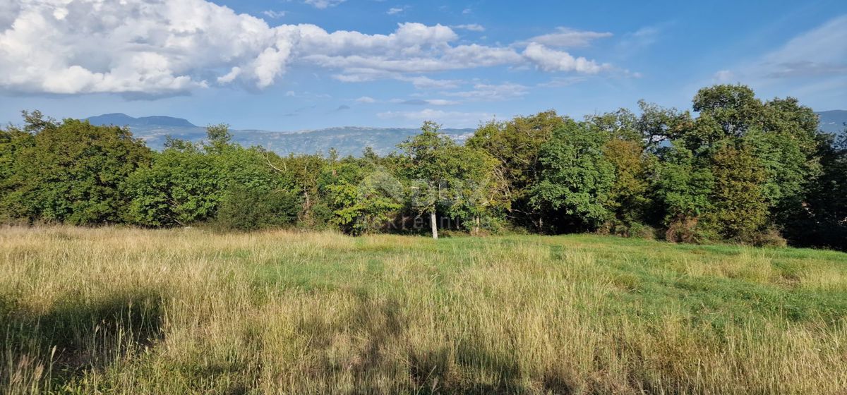 PIĆAN