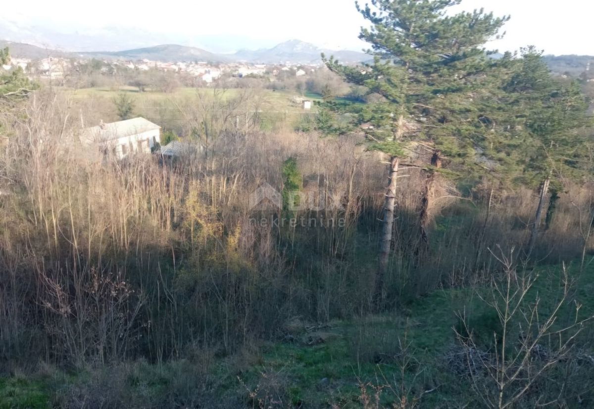 JELENJE