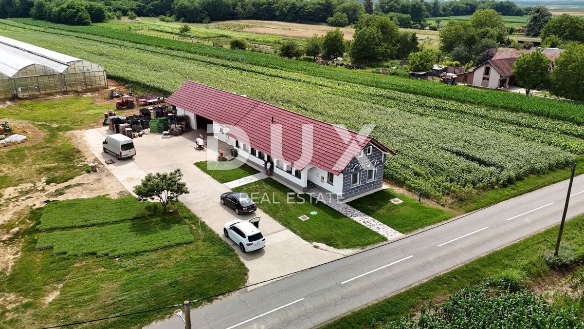 PITOMAČA