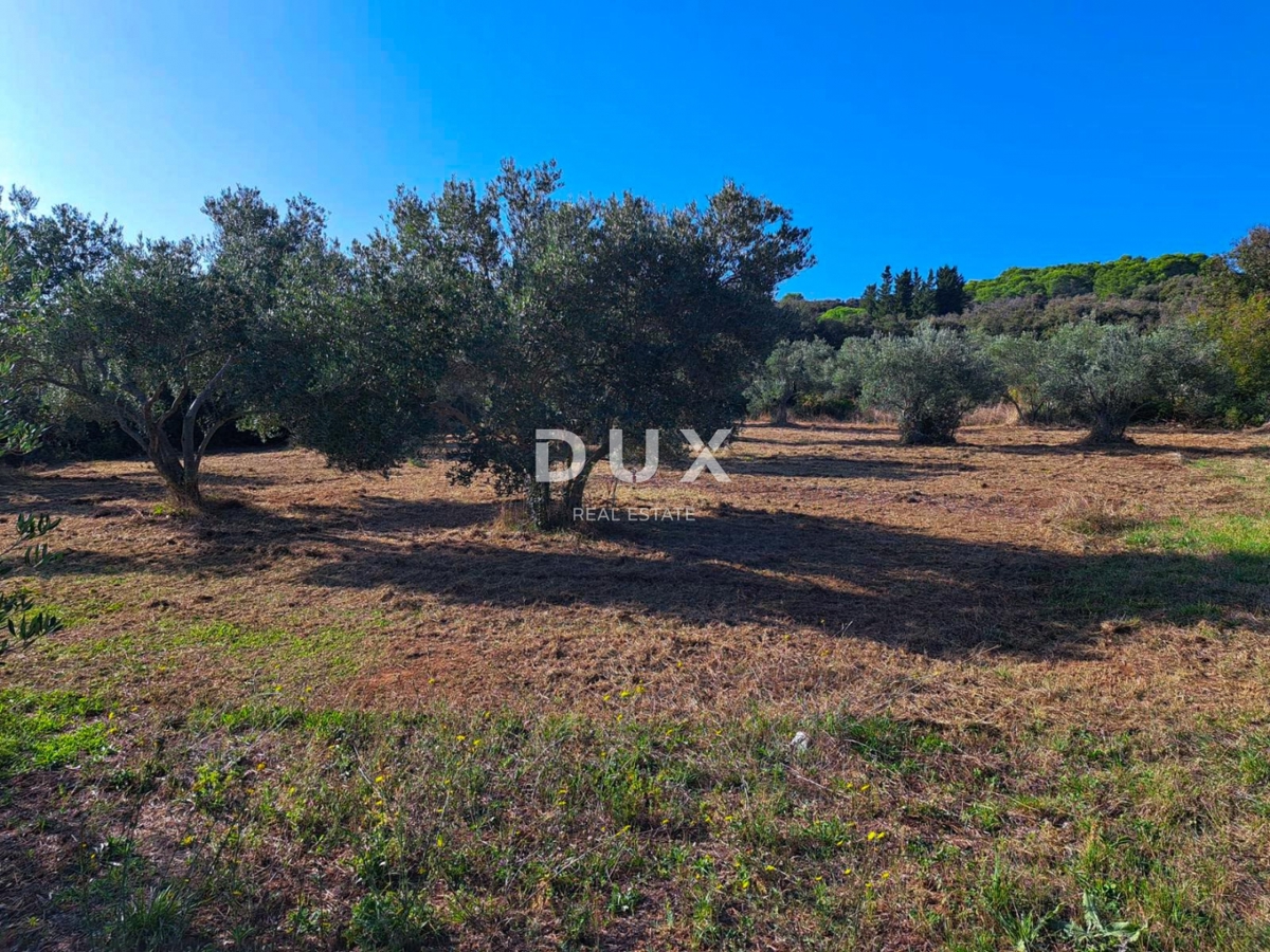 Terreno PAŠMAN, 138.000 €