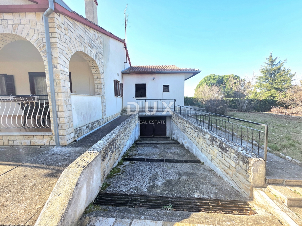 image 49