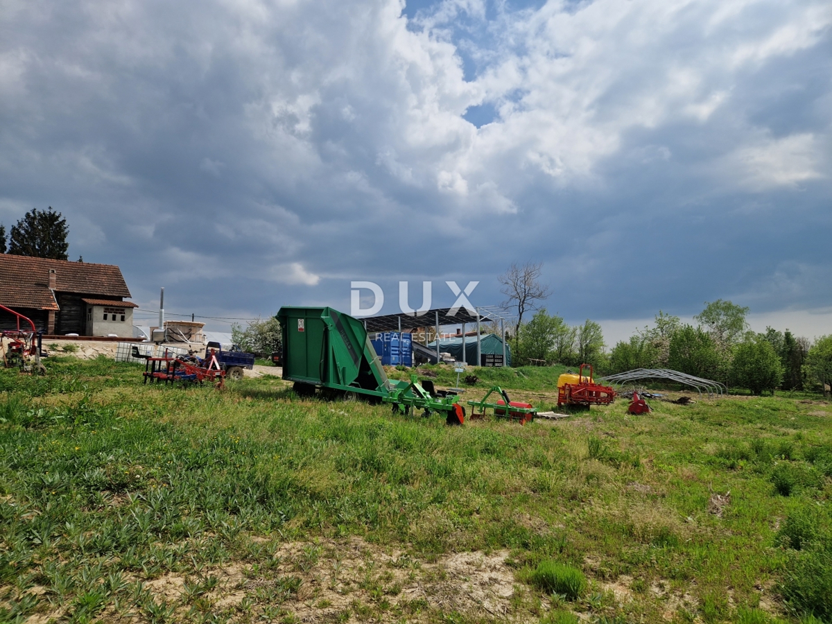 image 76