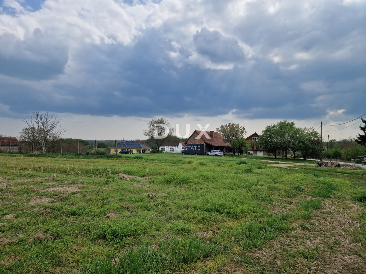 image 75