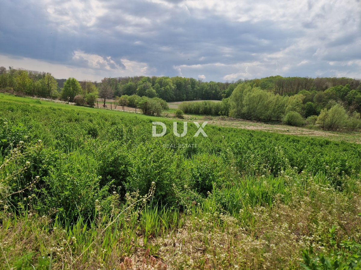 image 62