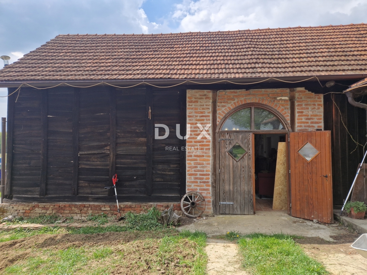 image 36